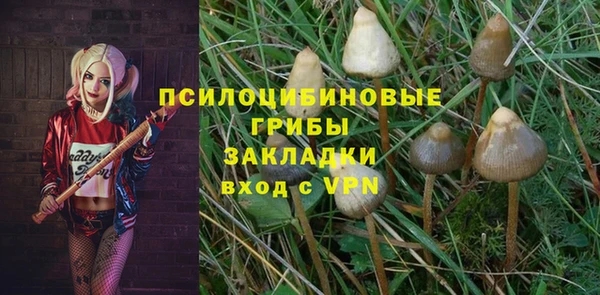 спайс Алексин