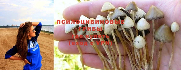 бошки Алексеевка