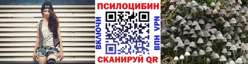 Псилоцибиновые грибы Magic Shrooms  сайты даркнета Telegram  Усолье-Сибирское 